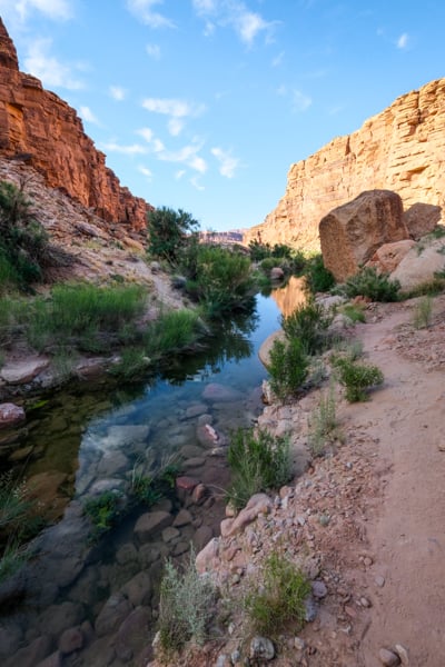 Cathedral Wash Colorado River