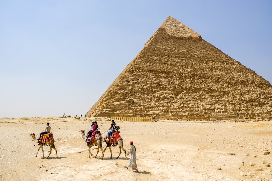 Camels walking past the Great Pyramids of Giza in Egypt