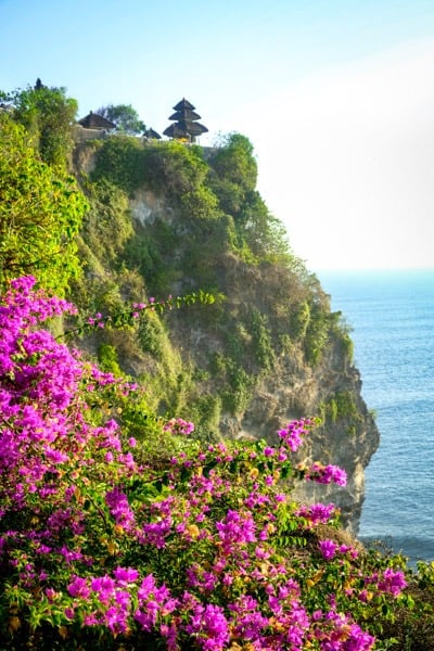 Uluwatu Temple cliffs and flowers in Bali