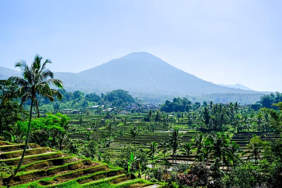 Jatiluwih rice terraces and mountain in Bali