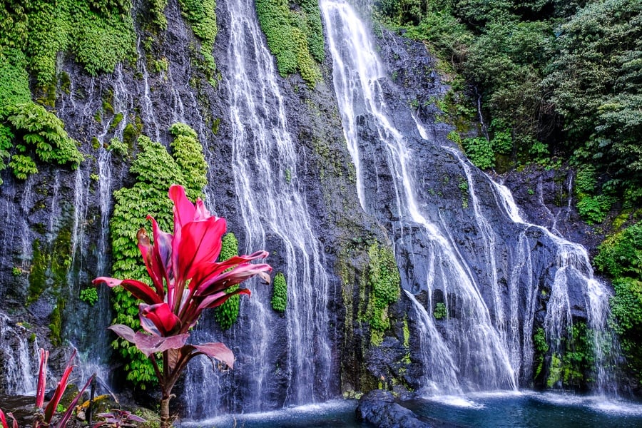 Banyumala Waterfall and red flower in Bali