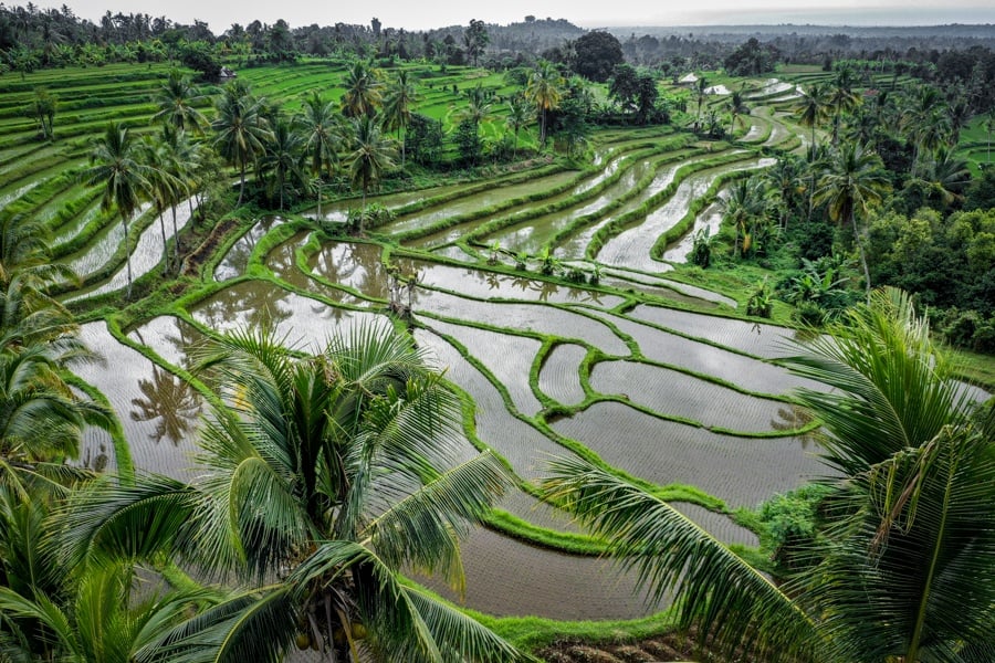 north bali terraces