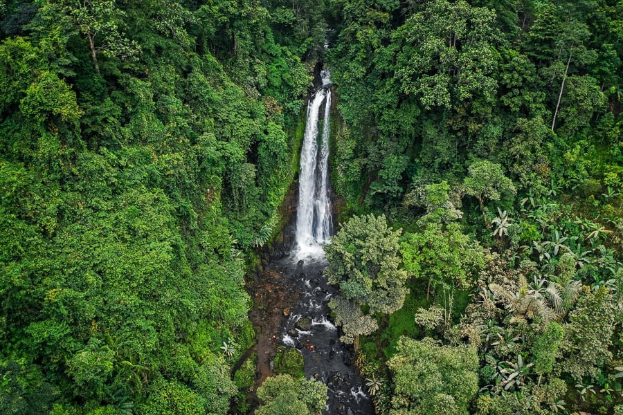 Drone view of GitGit Waterfall in Bali