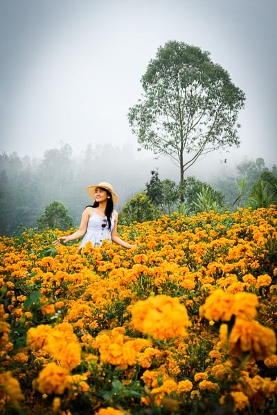 My woman at the marigold fields in Bali