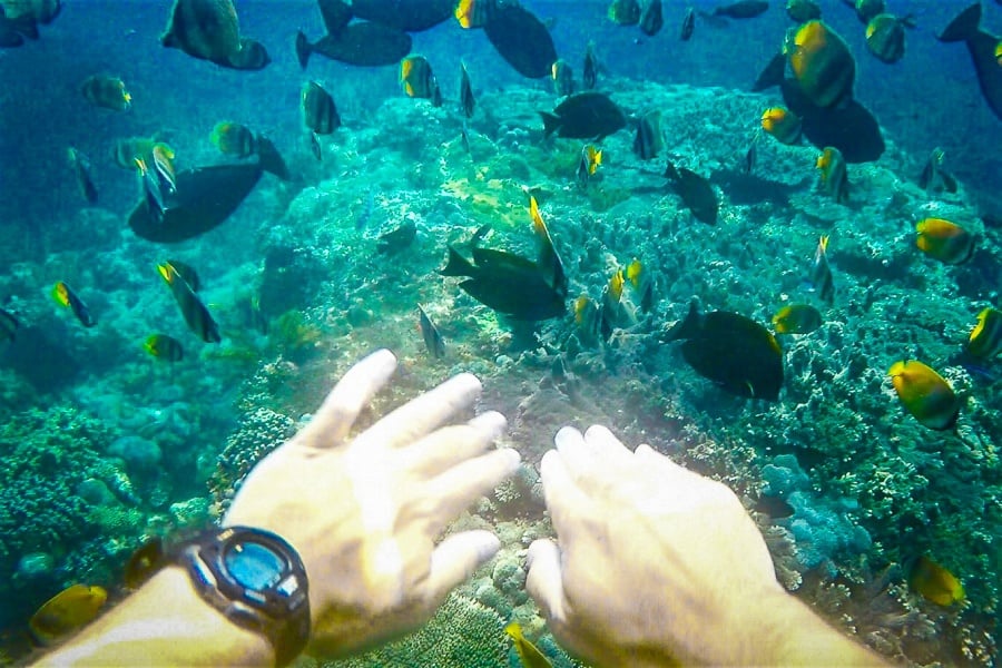 Swimming with fish underwater near Nusa Penida, Bali