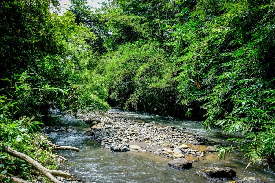 Tukad Pakerisan River in Bali