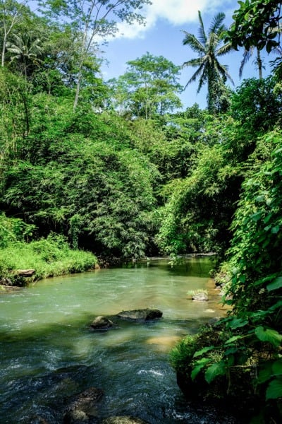 Tukad Pakerisan River in Bali