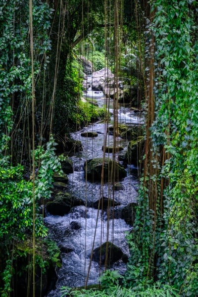 Pakerisan River in Bali