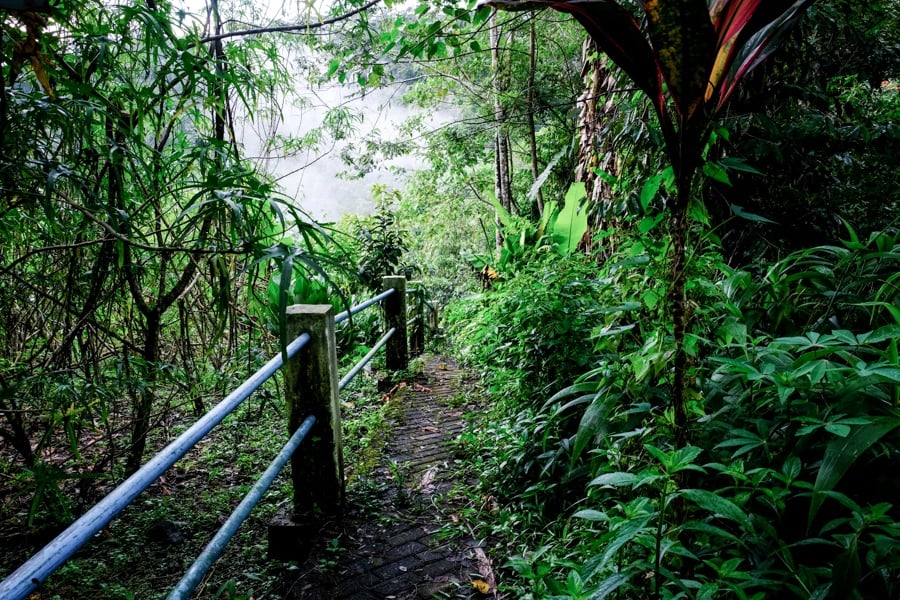 Entrance path to Air Terjun Kanderawatu Waterfall