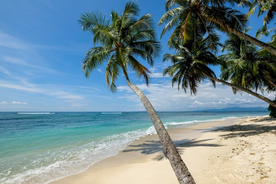 Bent Palm Tree Over Beautiful Sumatra Indonesia Island Beach