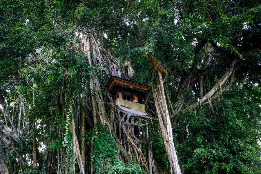 Pura Kehen banyan tree house