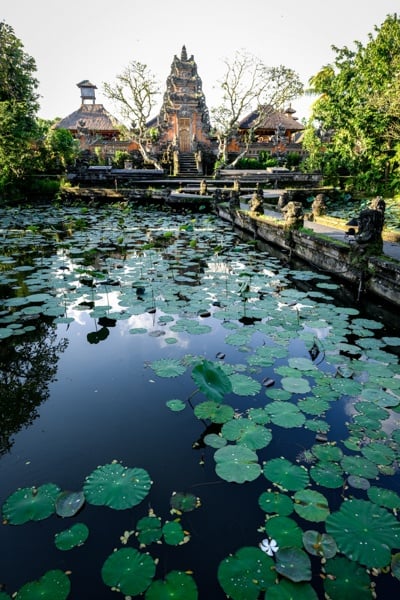 Lotus pond at Pura Saraswati Temple in Ubud Bali