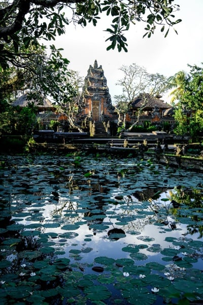 Lotus pond at Pura Saraswati Temple in Ubud Bali