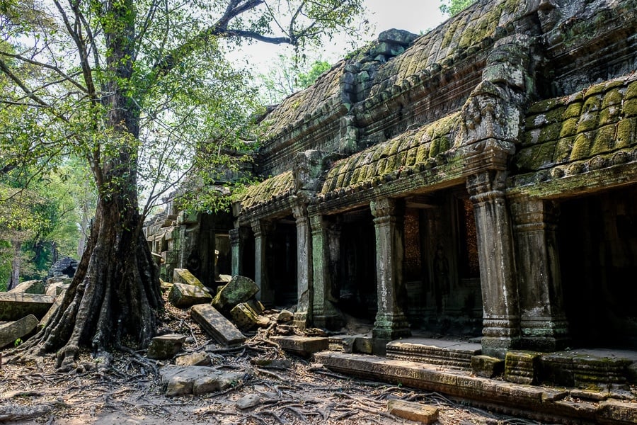 Windows at the Ta Prohm Temple Ruins in Angkor Wat, Cambodia