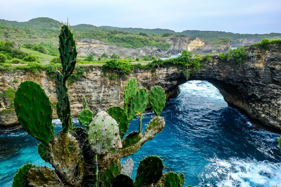 Cactuses and rock arch at Broken Beach in Nusa Penida, Bali