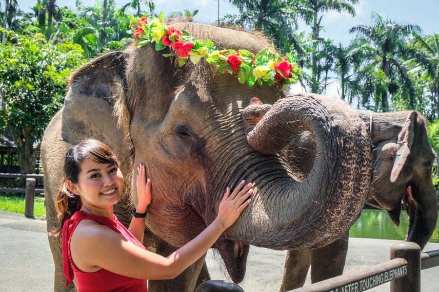 Elephant interaction ubud