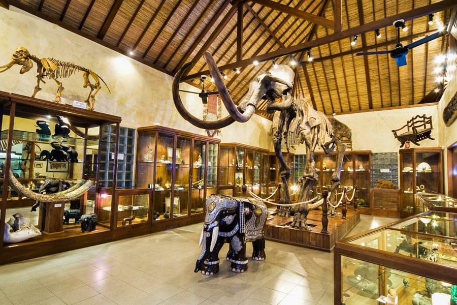 Elephant museum