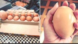 When a farmer found a huge eggs, the insides were even more mysterious.